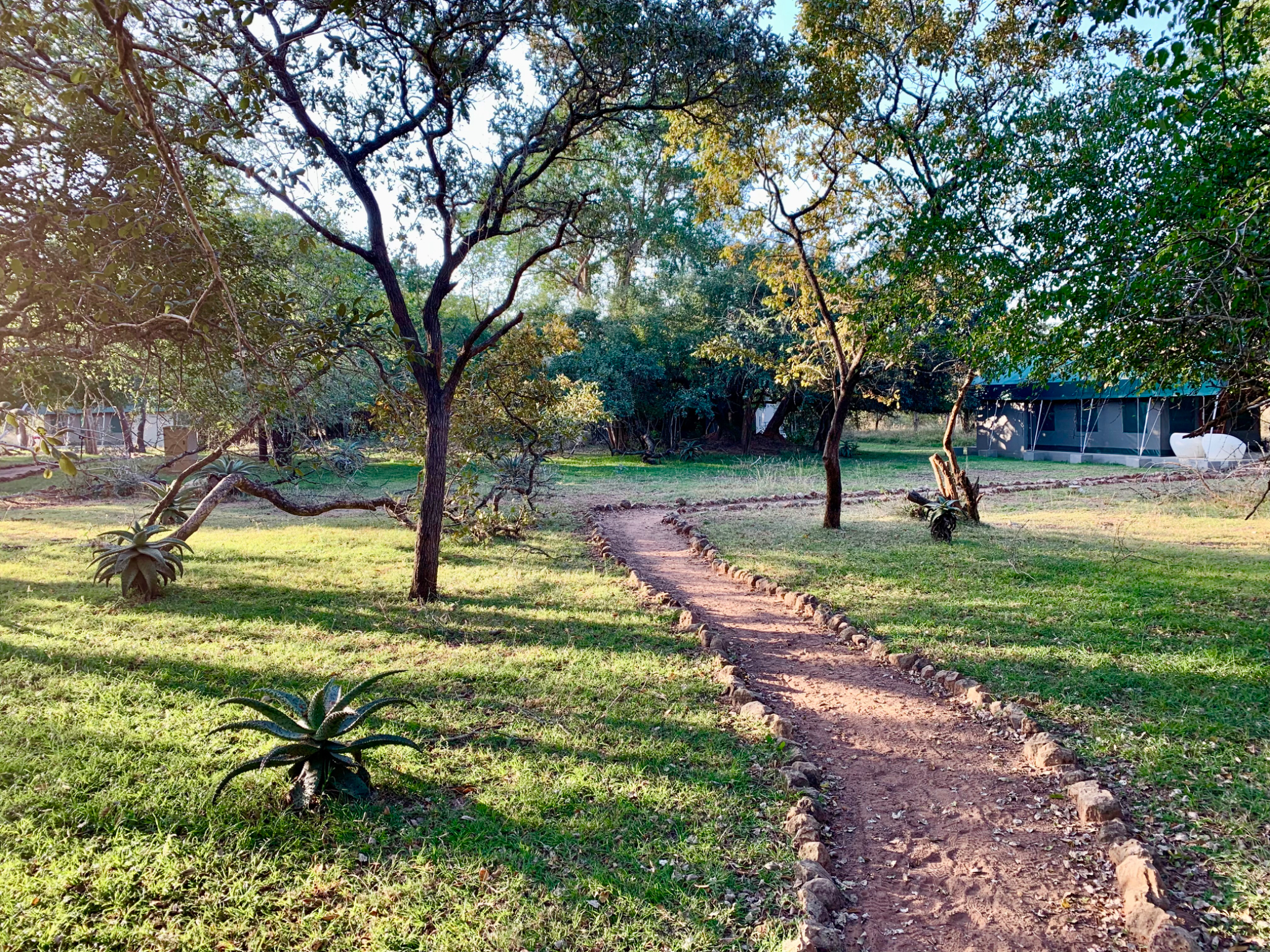 Phinda Pathway